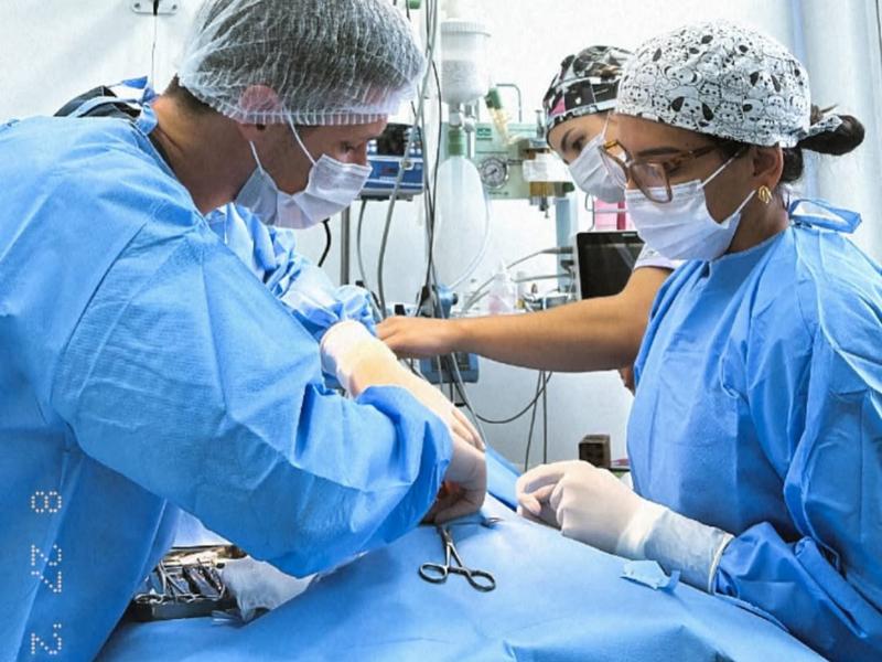 Cirurgias Veterinárias