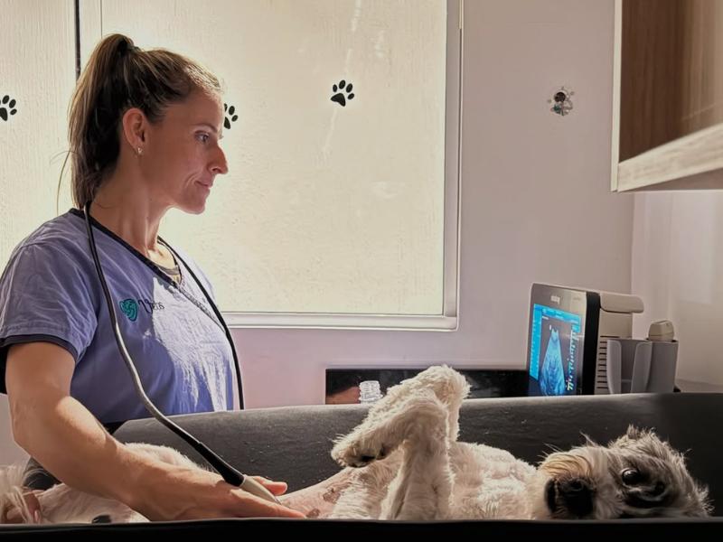 Exames Veterinários